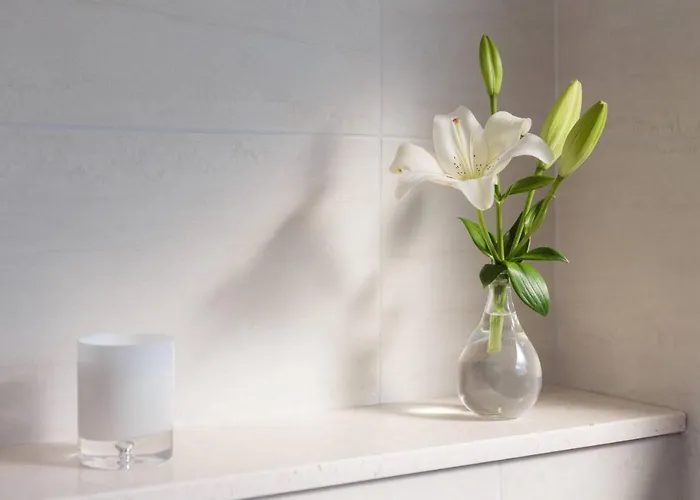 فيلة Salt تروغير